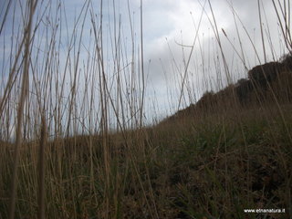 rra delle Concazze-01-01-2009 03-15-49